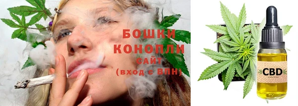 МДПВ Елабуга