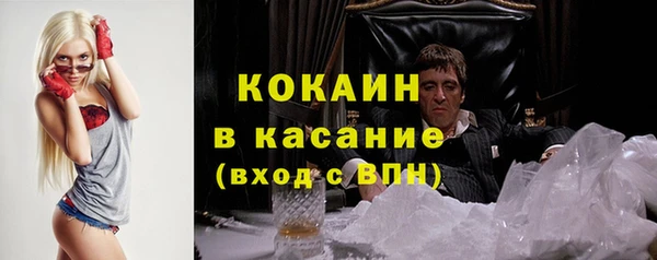 прущая мука Ельня