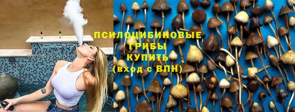прущая мука Ельня