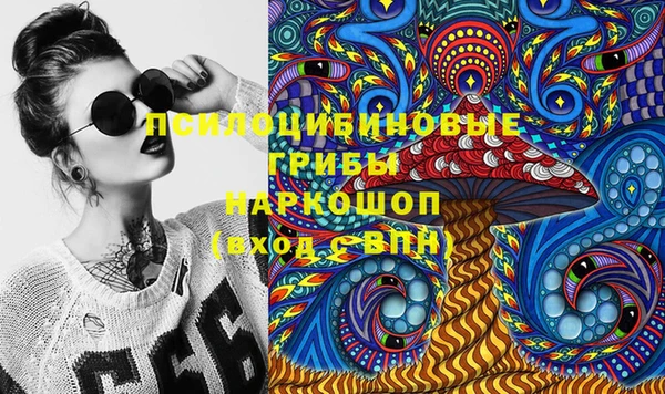 круглые Няндома