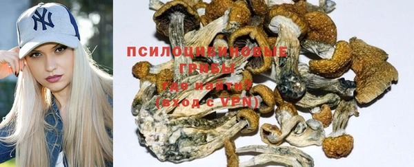 прущая мука Ельня