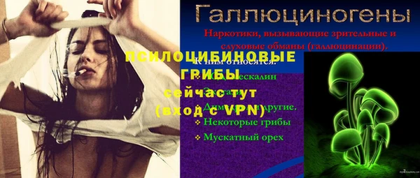 МДПВ Елабуга