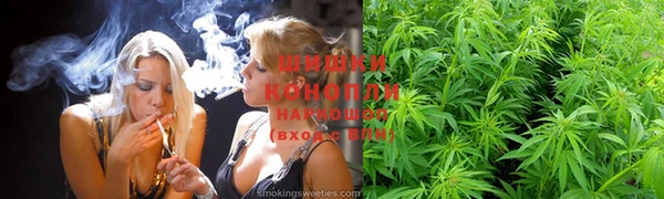 МДПВ Елабуга